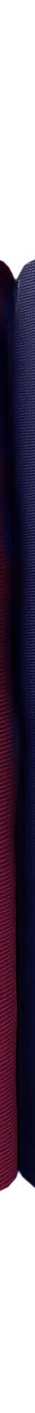 Soutien-gorge minimiseur microfibre et dentelle sans armatures - lot de 2 (marine + cerise) Soutien-gorge minimiseur microfibre et dentelle sans armatures - lot de 2 (marine + cerise)